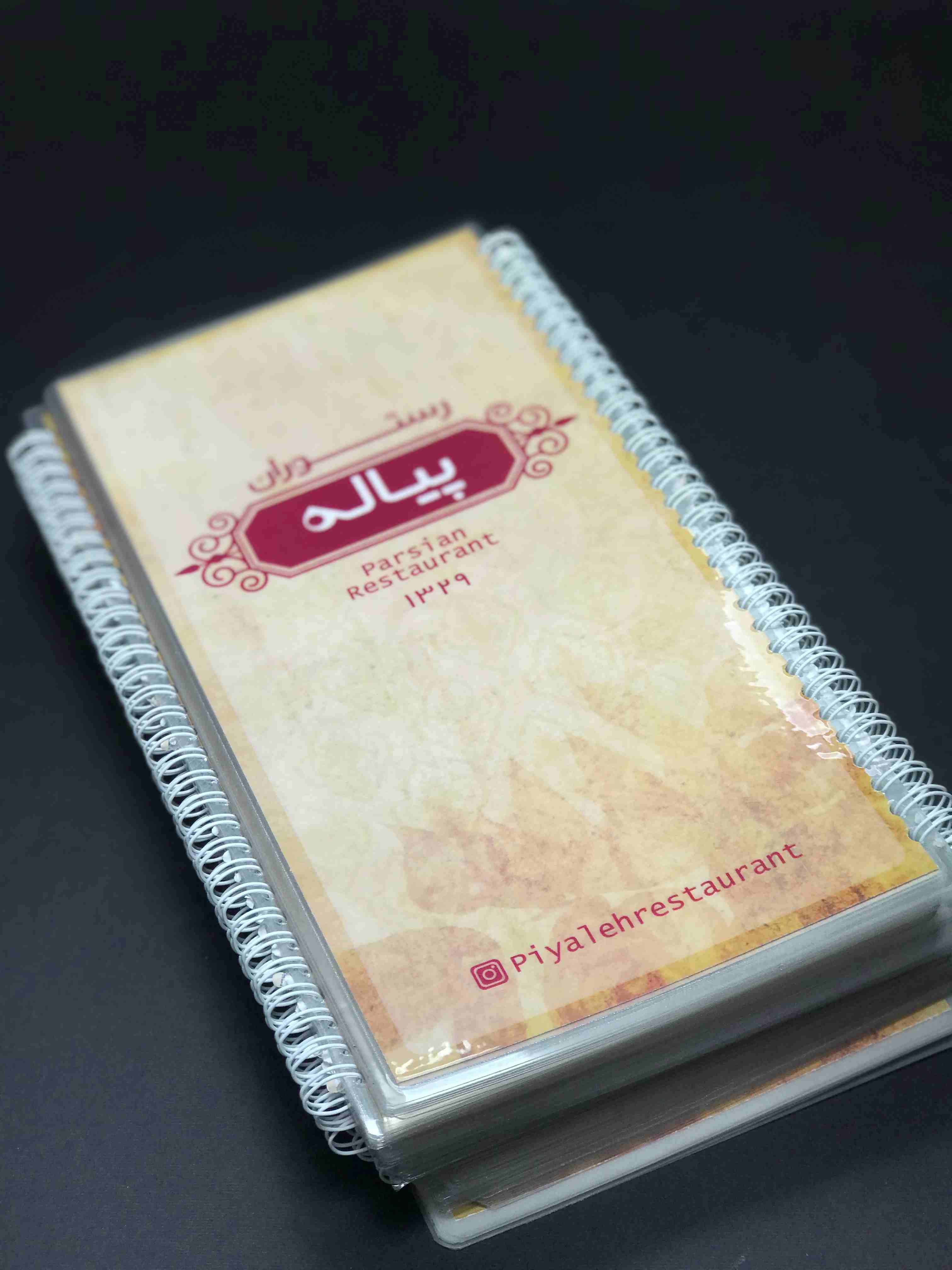 کاتالوگ با صحافی پانچ و فنر