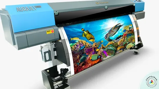 چاپ اکوسالونت چیست؟ کاربردها، مزایا و معایب چاپ اکوسالونت